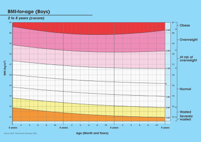 Growth Chart (Boy) 2-5 years old